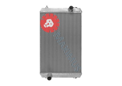 NCA148OLX1.jpg