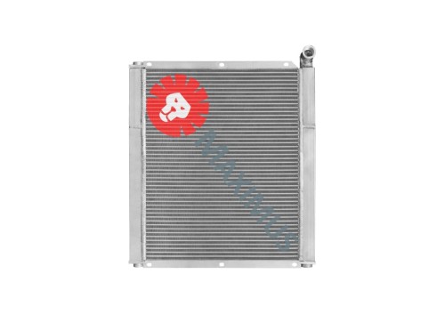 NCP1996olx.jpg