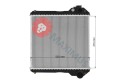 NCP0172olxw.jpg