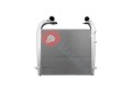RI5014OLX.jpg