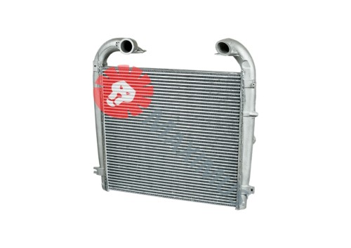 RI5010olx1.jpg