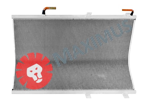 NKA021olx1.jpg